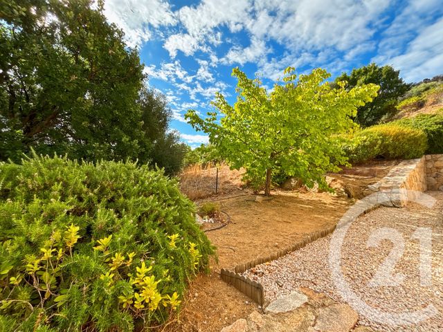 Maison à vendre - 8 pièces - 178 m2 - Santa Reparata Di Balagna - 202 - CORSE