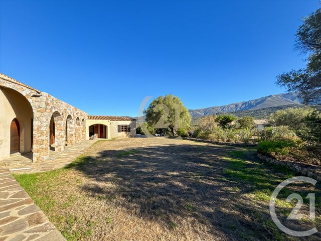 Maison &agrave; vendre - 6 pi&egrave;ces - 182,21 m2 - Speloncato - 202 - CORSE