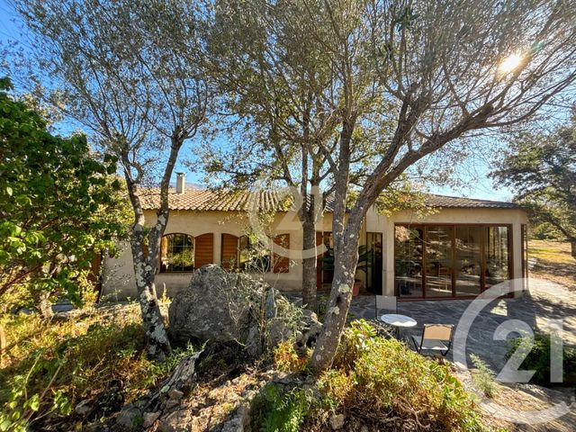 Maison &agrave; vendre - 6 pi&egrave;ces - 182,21 m2 - Speloncato - 202 - CORSE