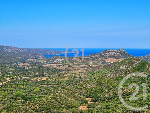 Maison à vendre - 7 pièces - 157 m2 - Oletta - 202 - CORSE