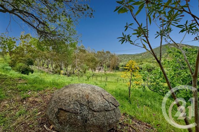 Maison à vendre - 5 pièces - 230 m2 - St Florent - 202 - CORSE