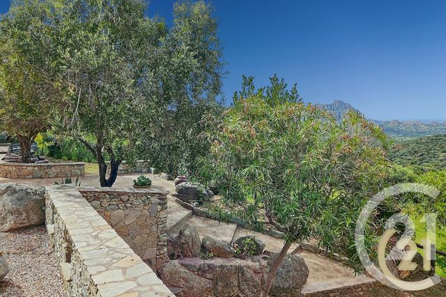 Maison à vendre - 5 pièces - 230 m2 - St Florent - 202 - CORSE