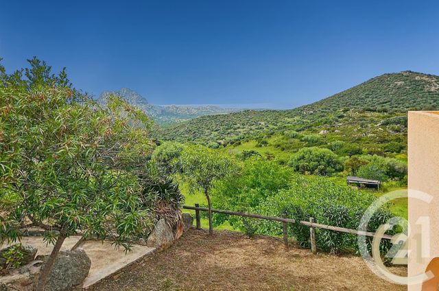 Maison à vendre - 5 pièces - 230 m2 - St Florent - 202 - CORSE
