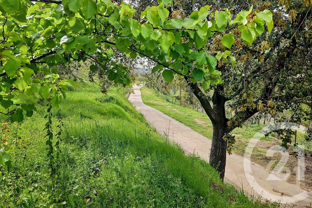 Maison à vendre - 5 pièces - 230 m2 - St Florent - 202 - CORSE