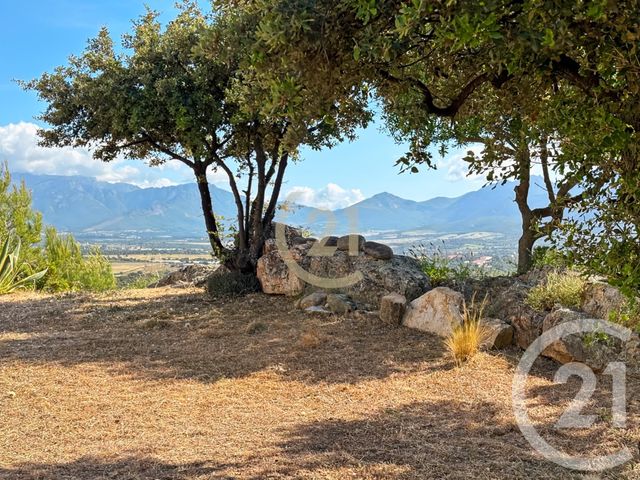 Maison à vendre - 5 pièces - 146 m2 - Lumio - 202 - CORSE