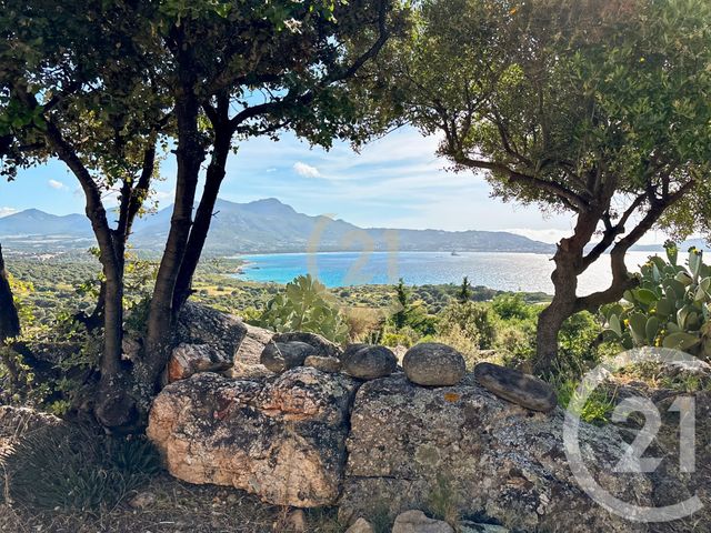 Maison à vendre - 5 pièces - 146 m2 - Lumio - 202 - CORSE