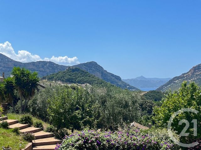 Maison à vendre - 7 pièces - 261,30 m2 - Patrimonio - 202 - CORSE