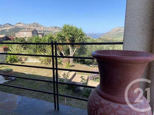 Maison à vendre - 7 pièces - 261,30 m2 - Patrimonio - 202 - CORSE