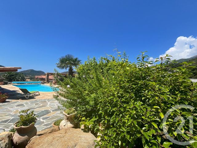 Maison à vendre - 7 pièces - 261,30 m2 - Patrimonio - 202 - CORSE