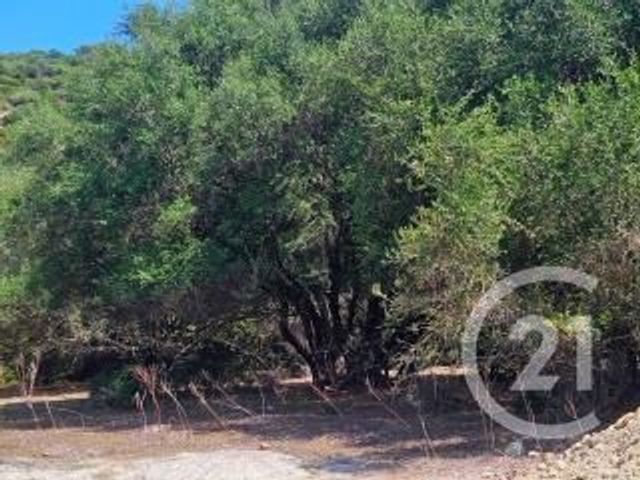 Appartement Studio à vendre - 1 pièce - 25 m2 - Oletta - 202 - CORSE