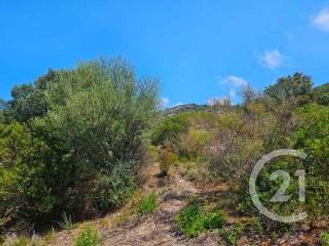 Appartement Studio à vendre - 1 pièce - 25 m2 - Oletta - 202 - CORSE