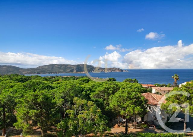 Maison à vendre CALVI
