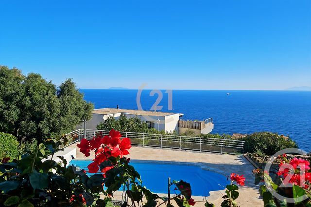 Maison à vendre - 6 pièces - 181,91 m2 - San Martino Di Lota - 202 - CORSE