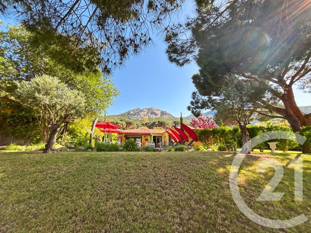 Maison à vendre - 7 pièces - 215 m2 - Calvi - 202 - CORSE