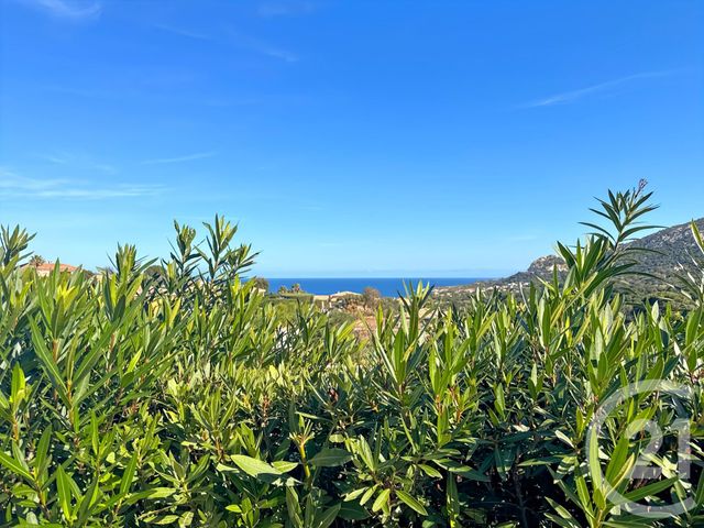 Appartement à vendre - 3 pièces - 73,34 m2 - Lumio - 202 - CORSE