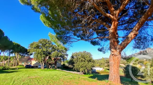 Maison &agrave; vendre - 6 pi&egrave;ces - 150 m2 - Montegrosso - 202 - CORSE