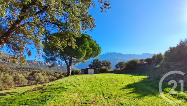Maison &agrave; vendre - 6 pi&egrave;ces - 150 m2 - Montegrosso - 202 - CORSE