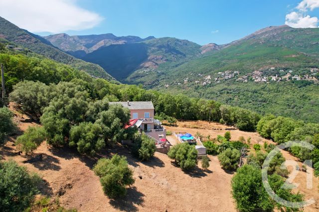 Maison à vendre - 6 pièces - 169 m2 - San Martino Di Lota - 202 - CORSE