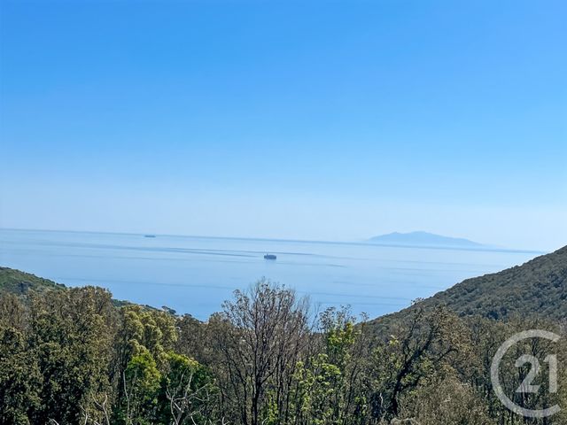 Maison à vendre - 6 pièces - 169 m2 - San Martino Di Lota - 202 - CORSE