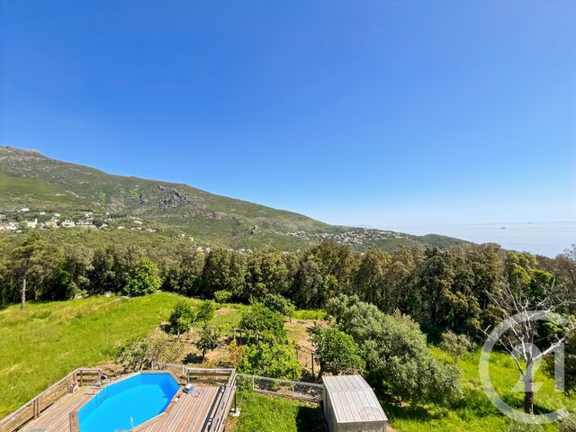 Maison à vendre - 6 pièces - 169 m2 - San Martino Di Lota - 202 - CORSE