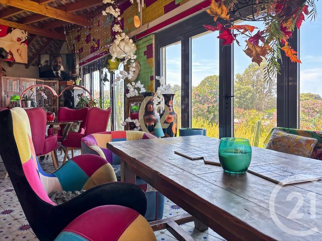 Divers &agrave; vendre - 90 m2 - Lumio - 202 - CORSE