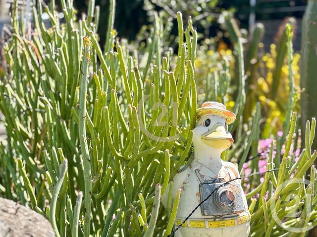 Divers &agrave; vendre - 90 m2 - Lumio - 202 - CORSE