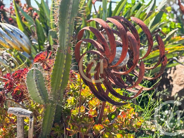 Divers &agrave; vendre - 90 m2 - Lumio - 202 - CORSE