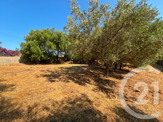 Maison à vendre - 6 pièces - 267,21 m2 - Monticello - 202 - CORSE