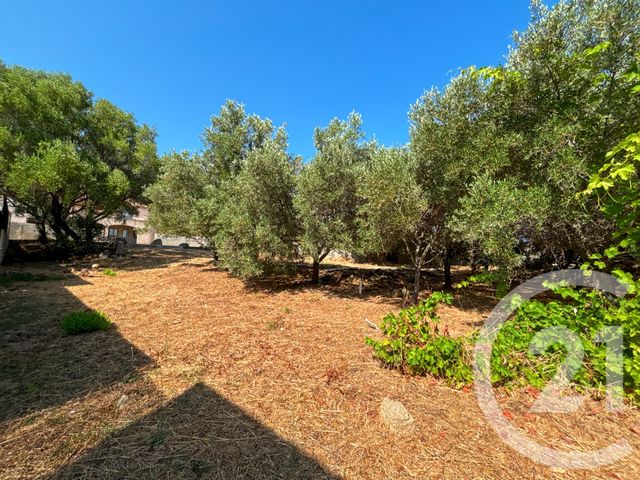 Maison à vendre - 6 pièces - 267,21 m2 - Monticello - 202 - CORSE