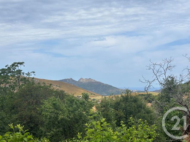 terrain - NESSA - 202