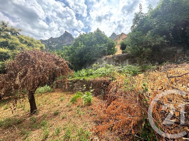 Terrain &agrave; vendre - 1109 m2 - Nessa - 202 - CORSE