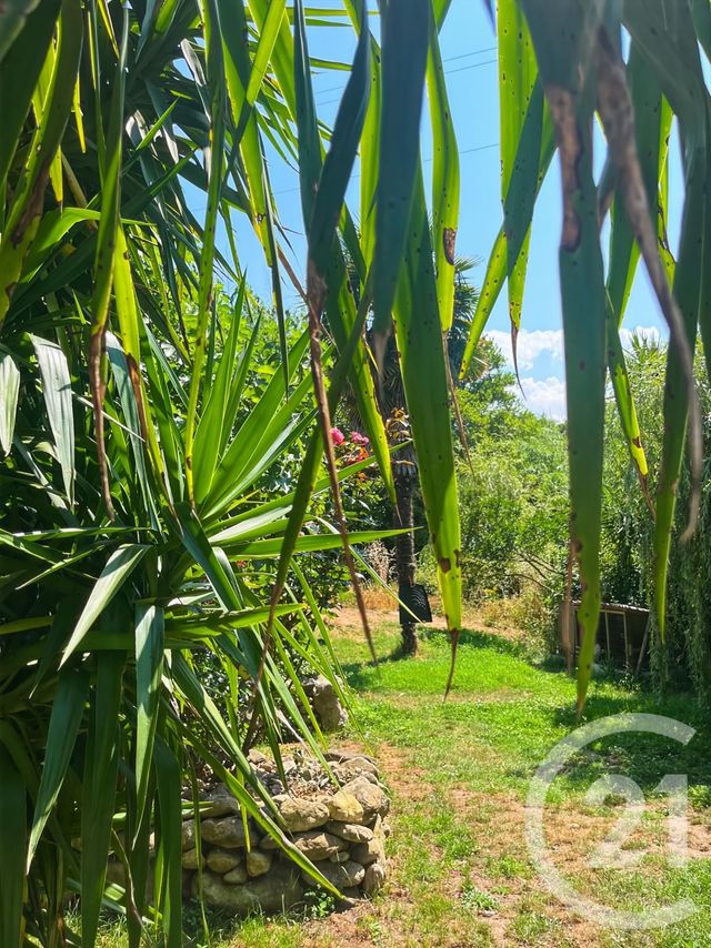 Maison à vendre - 9 pièces - 240 m2 - Occhiatana - 202 - CORSE