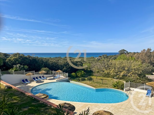 Appartement F2 &agrave; vendre - 2 pi&egrave;ces - 35,02 m2 - Belgodere - 202 - CORSE