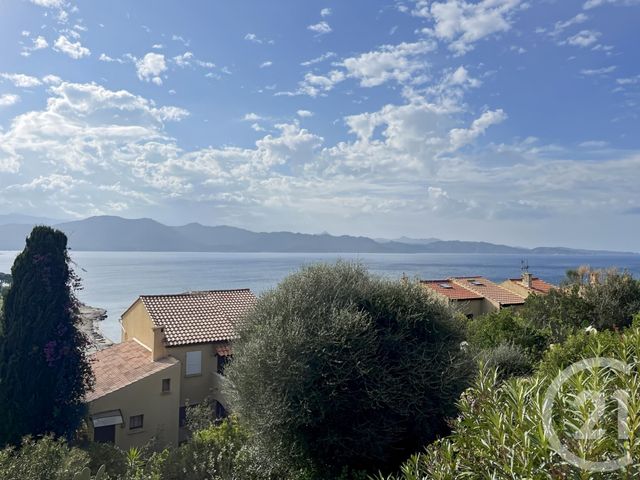 Appartement F1 à vendre - 1 pièce - 30,95 m2 - Patrimonio - 202 - CORSE