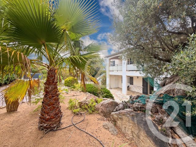 Maison &agrave; vendre - 7 pi&egrave;ces - 208 m2 - Monticello - 202 - CORSE