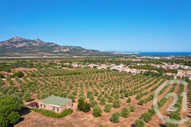 Maison à vendre - 6 pièces - 210,39 m2 - Calenzana - 202 - CORSE