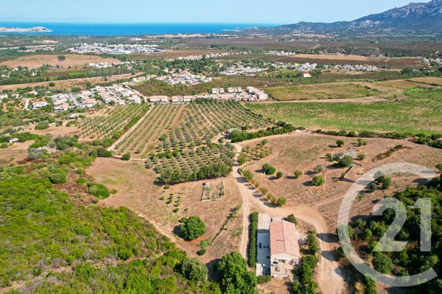 Maison à vendre - 6 pièces - 210,39 m2 - Calenzana - 202 - CORSE