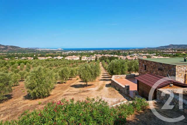 Maison à vendre - 6 pièces - 210,39 m2 - Calenzana - 202 - CORSE