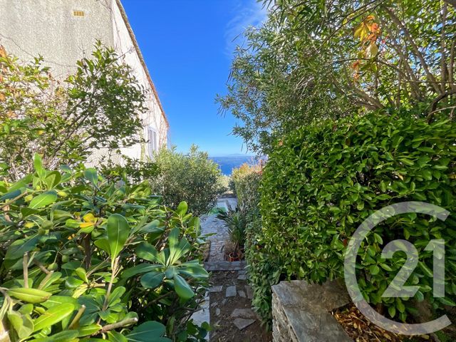 Maison à vendre - 6 pièces - 261,21 m2 - Santa Maria Di Lota - 202 - CORSE