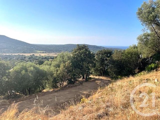 terrain - BELGODERE - 202