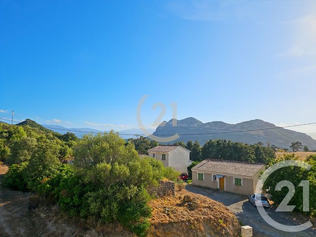 Appartement T2 &agrave; vendre - 2 pi&egrave;ces - 40,49 m2 - Patrimonio - 202 - CORSE