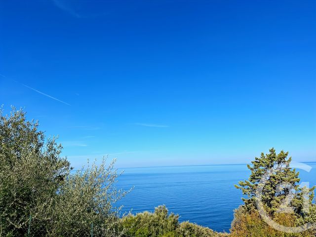 Terrain &agrave; vendre - 2039 m2 - Canari - 202 - CORSE