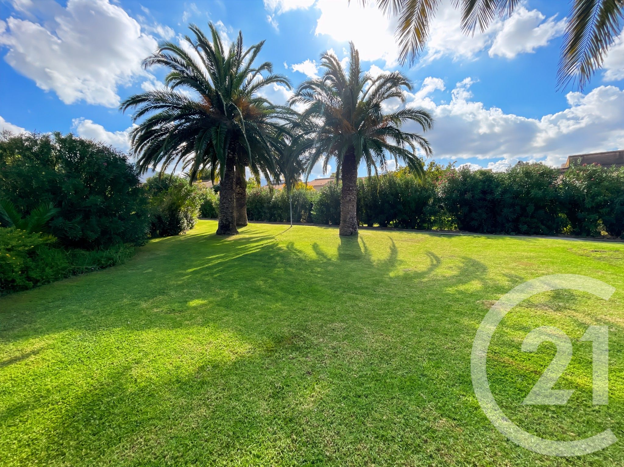 Maison à vendre - 3 pièces - 77,83 m2 - Oletta - 202 - CORSE — 20