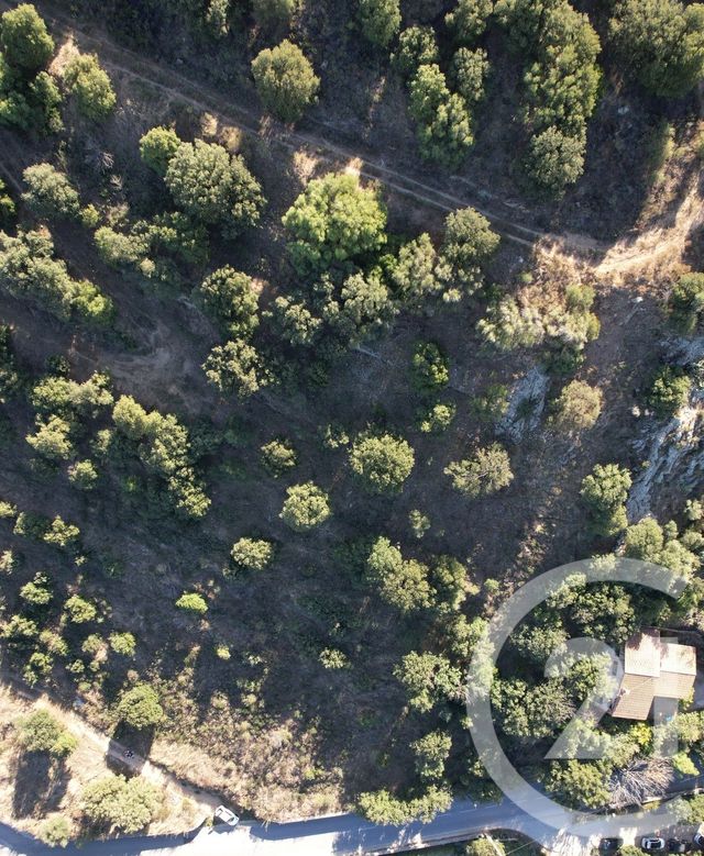 Terrain &agrave; vendre - 3502 m2 - Monticello - 202 - CORSE