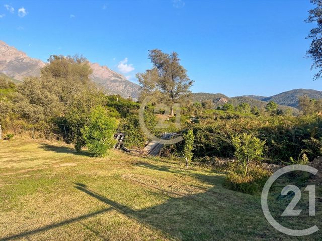 Maison &agrave; vendre - 5 pi&egrave;ces - 87 m2 - Castirla - 202 - CORSE