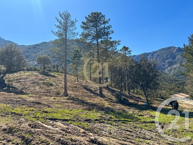 Maison &agrave; vendre - 5 pi&egrave;ces - 87 m2 - Castirla - 202 - CORSE
