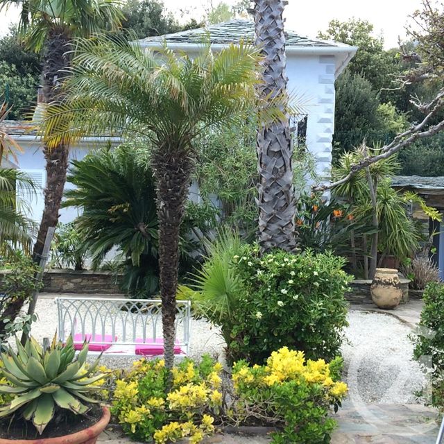 Maison &agrave; vendre - 7 pi&egrave;ces - 173,61 m2 - Brando - 202 - CORSE