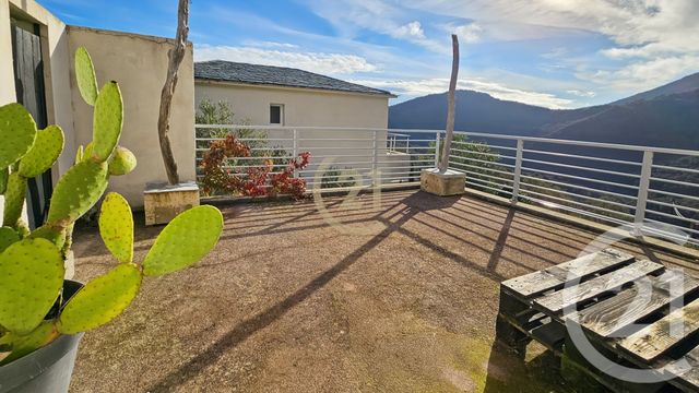 Maison &agrave; vendre - 5 pi&egrave;ces - 149,08 m2 - Santa Maria Di Lota - 202 - CORSE