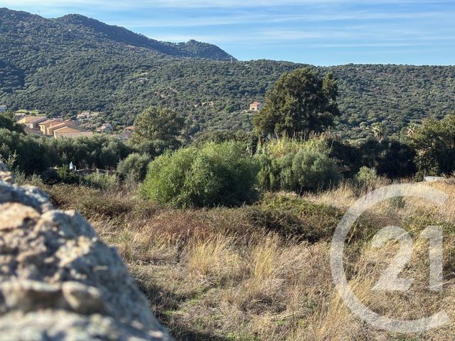 terrain - MONTICELLO - 202