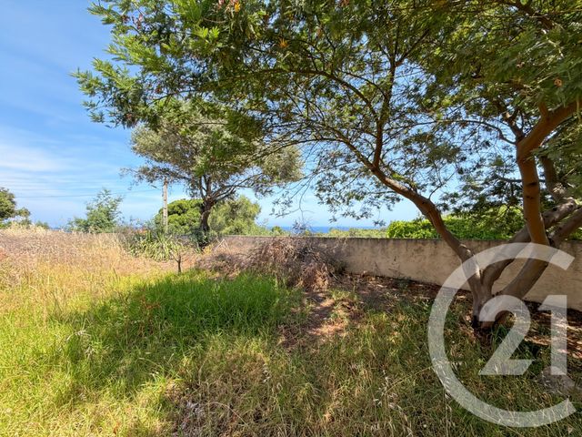Maison &agrave; vendre - 6 pi&egrave;ces - 147,47 m2 - Monticello - 202 - CORSE
